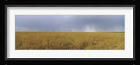 Clouds over a meadow, Masai Mara National Reserve, Great Rift Valley, Kenya Fine Art Print
