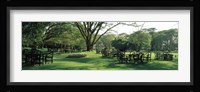Chairs and tables in a lawn, Lake Naivasha Country Club, Great Rift Valley, Kenya Fine Art Print