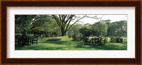 Chairs and tables in a lawn, Lake Naivasha Country Club, Great Rift Valley, Kenya Fine Art Print