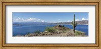 Cactus at the lakeside with a mountain range in the background, Lake Pleasant, Arizona, USA Fine Art Print