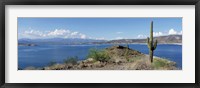 Cactus at the lakeside with a mountain range in the background, Lake Pleasant, Arizona, USA Fine Art Print