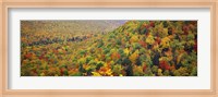 Mountain forest in autumn, Nova Scotia, Canada Fine Art Print