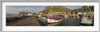 Fishing boats at a harbor, Kalk Bay, False Bay, Cape Town, Western Cape Province, South Africa Fine Art Print