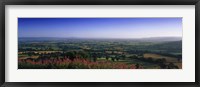 Trees on a landscape, Uley, Cotswold Hills, Gloucestershire, England Fine Art Print