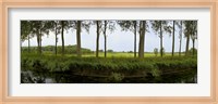 Channel passing through a landscape from Brugge to Damme, Belgium Fine Art Print