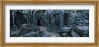 Overgrown tree roots on ruins of a temple, Ta Prohm Temple, Angkor, Cambodia Fine Art Print