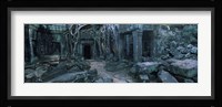 Overgrown tree roots on ruins of a temple, Ta Prohm Temple, Angkor, Cambodia Fine Art Print