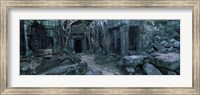 Overgrown tree roots on ruins of a temple, Ta Prohm Temple, Angkor, Cambodia Fine Art Print