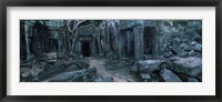 Overgrown tree roots on ruins of a temple, Ta Prohm Temple, Angkor, Cambodia Fine Art Print