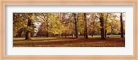 Ludwigsburg Park in autumn, Ludwigsburg, Baden-Wurttemberg, Germany Fine Art Print
