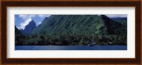 Trees on the coast, Tahiti, French Polynesia Fine Art Print