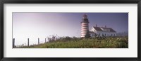 Low angle view of a lighthouse, West Quoddy Head lighthouse, Lubec, Washington County, Maine, USA Fine Art Print