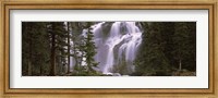 Waterfall in a forest, Banff, Alberta, Canada Fine Art Print