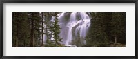 Waterfall in a forest, Banff, Alberta, Canada Fine Art Print