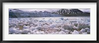 Ice floes in the sea with a glacier in the background, Norway Fine Art Print