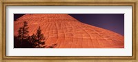 Shadow of trees on a rock formation, Checkerboard Mesa, Zion National Park, Utah, USA Fine Art Print
