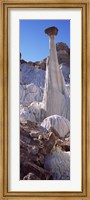 Pinnacle formations on an arid landscape, Wahweap Hoodoos, Arizona, USA Fine Art Print