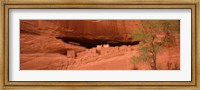 Ruins of house, White House Ruins, Canyon De Chelly, Arizona, USA Fine Art Print