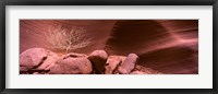 Bare Tree and Rock formations, Antelope Canyon, Arizona Fine Art Print
