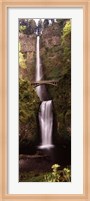 Waterfall in a forest, Multnomah Falls, Columbia River Gorge, Oregon, USA Fine Art Print