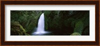 Cascading waterfall in the Columbia River Gorge, Oregon, USA Fine Art Print