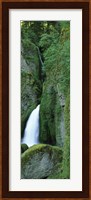 Waterfall in a forest, Columbia River Gorge, Oregon, USA Fine Art Print