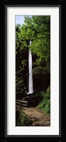 Trail path by a waterfall, Columbia River Gorge, Oregon, USA Fine Art Print