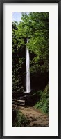 Trail path by a waterfall, Columbia River Gorge, Oregon, USA Fine Art Print