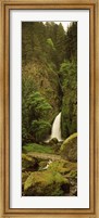 Columbia River Gorge, Oregon Fine Art Print