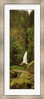 Columbia River Gorge, Oregon Fine Art Print