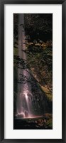 Waterfall in a forest, Columbia Gorge, Oregon, USA Fine Art Print