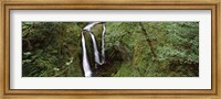 High angle view of a waterfall in a forest, Triple Falls, Columbia River Gorge, Oregon (horizontal) Fine Art Print