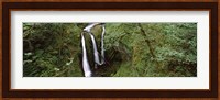 High angle view of a waterfall in a forest, Triple Falls, Columbia River Gorge, Oregon (horizontal) Fine Art Print