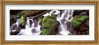 Cascading waterfall in a rainforest, Olympic National Park, Washington State, USA Fine Art Print