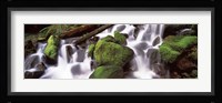 Cascading waterfall in a rainforest, Olympic National Park, Washington State, USA Fine Art Print