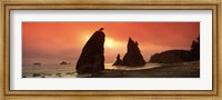 Silhouette of seastacks at sunset, Olympic National Park, Washington State Fine Art Print