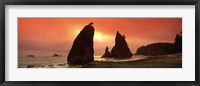 Silhouette of seastacks at sunset, Olympic National Park, Washington State Fine Art Print