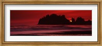 Seastacks at sunset, Second Beach, Washington State Fine Art Print