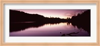 Reflection of trees in a lake, Mt Rainier, Pierce County, Washington State Fine Art Print