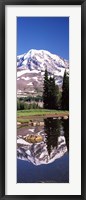 Reflection of a mountain in a lake, Mt Rainier, Pierce County, Washington State, USA Fine Art Print