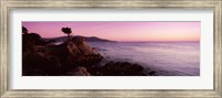 Silhouette of a cypress tree at coast, The Lone Cypress, 17 mile Drive, Carmel, California, USA Fine Art Print