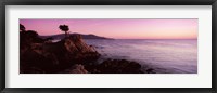 Silhouette of a cypress tree at coast, The Lone Cypress, 17 mile Drive, Carmel, California, USA Fine Art Print