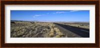 Desert road passing through the grasslands, Namibia Fine Art Print