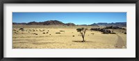 Horse ranch on a homestead, Namibia Fine Art Print