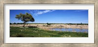 Wild animals at a waterhole, Okaukuejo, Etosha National Park, Kunene Region, Namibia Fine Art Print