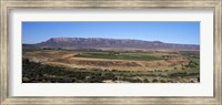 Road from Cape Town to Namibia near Vredendal, Western Cape Province, South Africa Fine Art Print