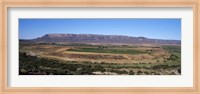 Road from Cape Town to Namibia near Vredendal, Western Cape Province, South Africa Fine Art Print