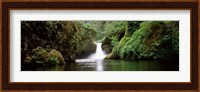 Waterfall in a forest, Punch Bowl Falls, Eagle Creek, Hood River County, Oregon, USA Fine Art Print