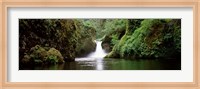Waterfall in a forest, Punch Bowl Falls, Eagle Creek, Hood River County, Oregon, USA Fine Art Print