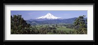Trees and farms with a snowcapped mountain in the background, Mt Hood, Oregon, USA Fine Art Print